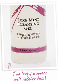 Luxe-mint-cleanser