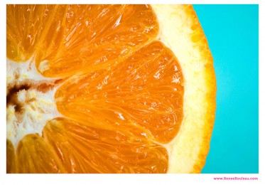 closeup of a orange slice