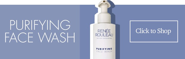 Renee Rouleau Purifying Face Wash