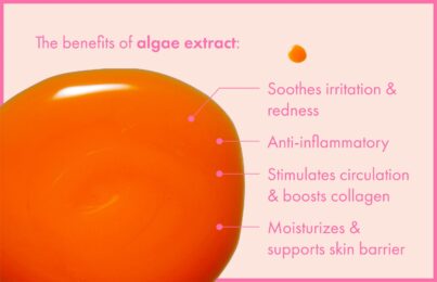 This is an informative image that discusses the benefits of algae extract in skincare. The benefits listed are: soothes irritation and redness, anti-inflammatory, stimulates circulation & boosts collagen, and moisturizes & supports skin barrier.